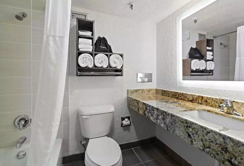 キングサイズベッドのデラックスルーム, Americinn By Wyndham Rochester Near Mayo Clinic