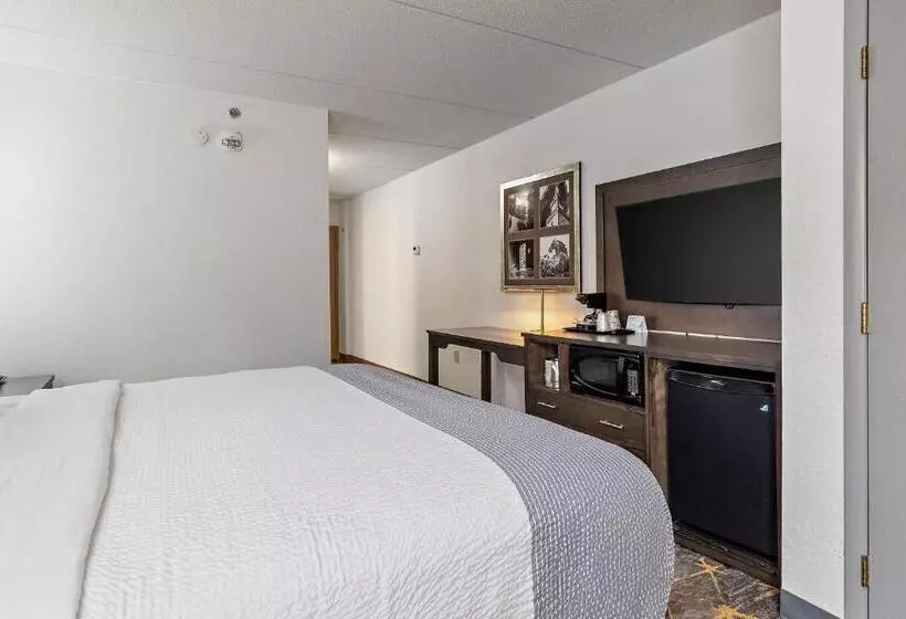 キングサイズベッドのデラックスルーム, Americinn By Wyndham Rochester Near Mayo Clinic