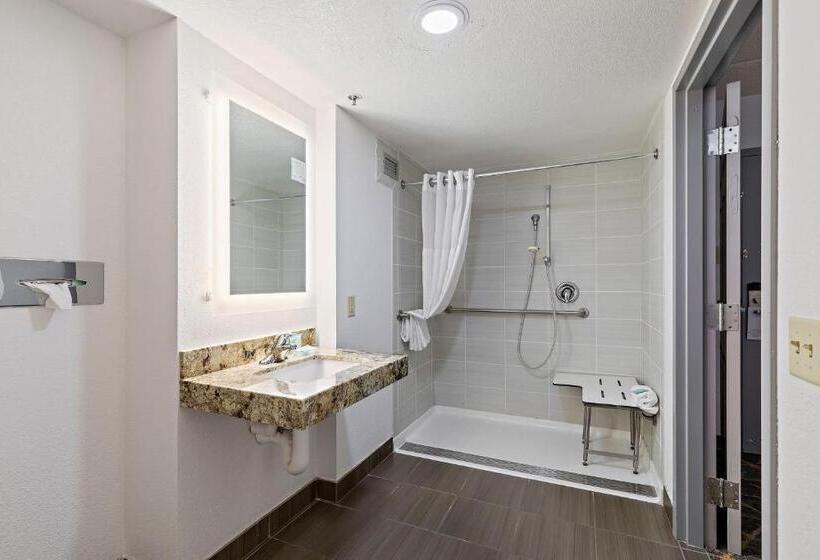 חדר סטנדרט, מיטת קינג, מותאם לאדם עם מוגבלויות, Americinn By Wyndham Rochester Near Mayo Clinic