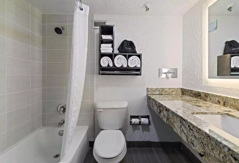 キングサイズベッドのスタンダードルーム, Americinn By Wyndham Rochester Near Mayo Clinic