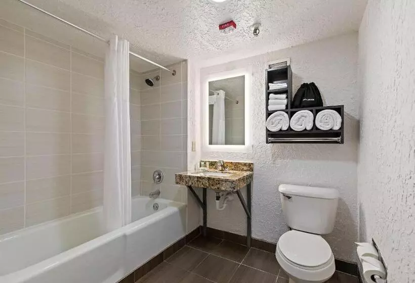 キングサイズベッドのスタンダードルーム, Americinn By Wyndham Rochester Near Mayo Clinic
