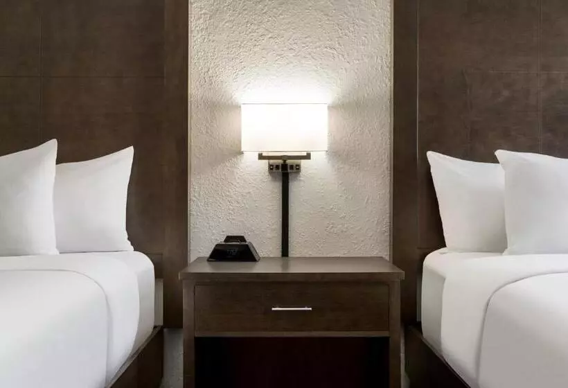 スタンダードルーム, Americinn By Wyndham Rochester Near Mayo Clinic
