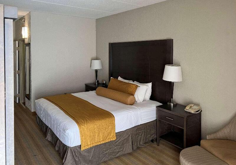Стандартный Номер Кровать Кинг, Americinn By Wyndham Rochester Near Mayo Clinic