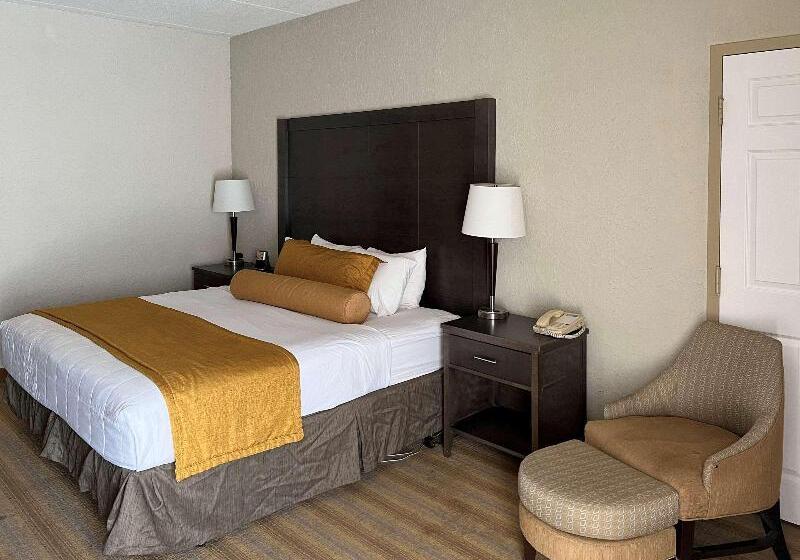 חדר סטנדרט עם מיטת קינג, Americinn By Wyndham Rochester Near Mayo Clinic