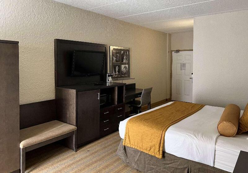 חדר סטנדרט עם מיטת קינג, Americinn By Wyndham Rochester Near Mayo Clinic