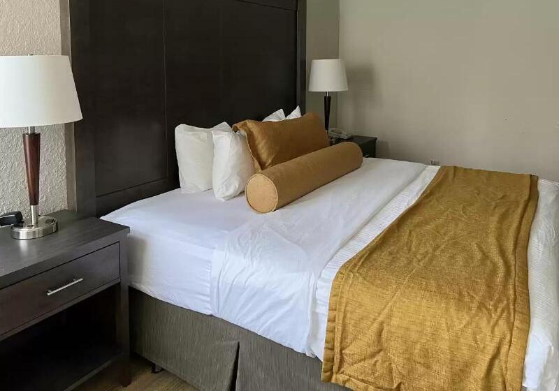 Номер Deluxe Кровать Кинг, Americinn By Wyndham Rochester Near Mayo Clinic