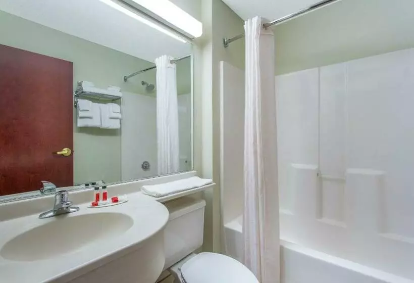 スイート, Microtel Inn & Suites By Wyndham Lillington/campbell University