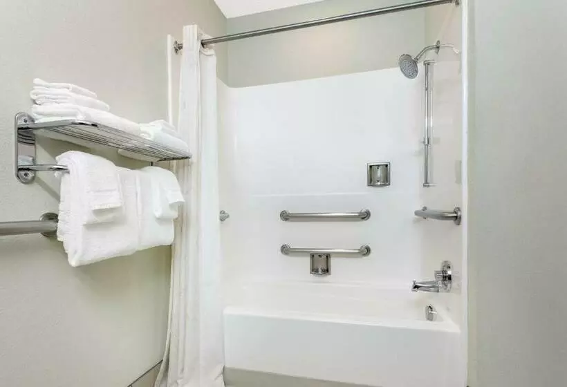 スイート, Microtel Inn & Suites By Wyndham Lillington/campbell University