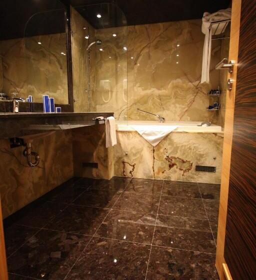 شقة غرفة واحدة, Anel