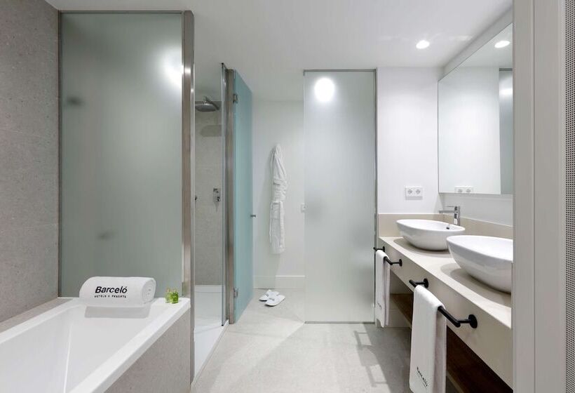 디럭스 룸, Barcelo  Oviedo Cervantes