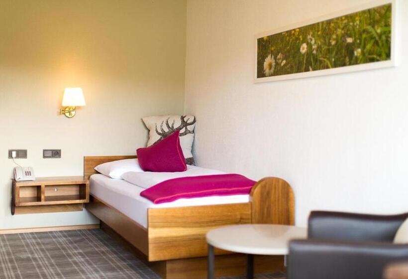 バルコニー付きシングルスタンダードルーム, Garni Römerhof