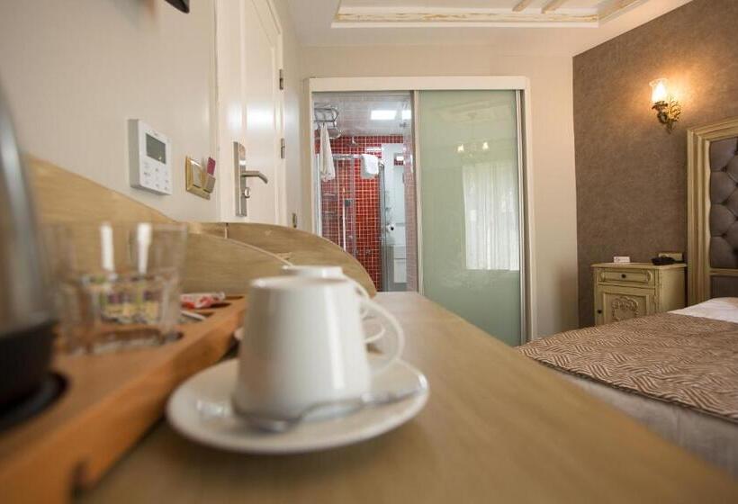 اتاق استاندارد یک نفره, Idylle