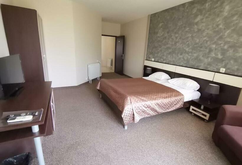 غرفة قياسية, Park Hotel Arbanassi