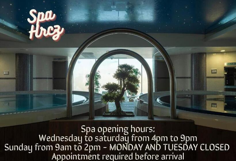 Номер Стандарт с доступом в Спа, & Spa Real Ciudad De Zaragoza