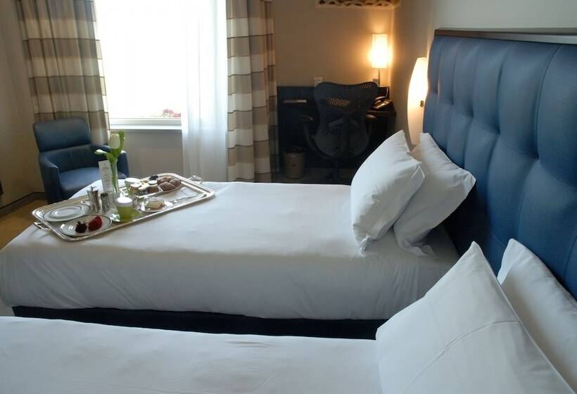 舒适型房间, Unahotels Mh Matera