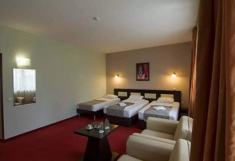 اتاق سوپریور, Park Hotel Arbanassi