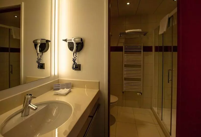 اتاق کلاس بیزنس, Airport Hotel Basel   Convenient & Friendly