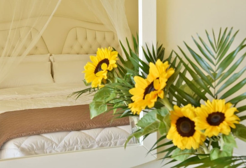 주니어 스위트, Ionion Star