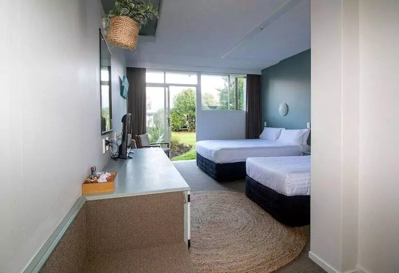 Standard Studio, The Avenue