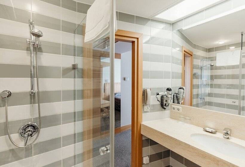 اتاق استاندارد با دسترسی به اسپا, Vanagupe Spa Resort