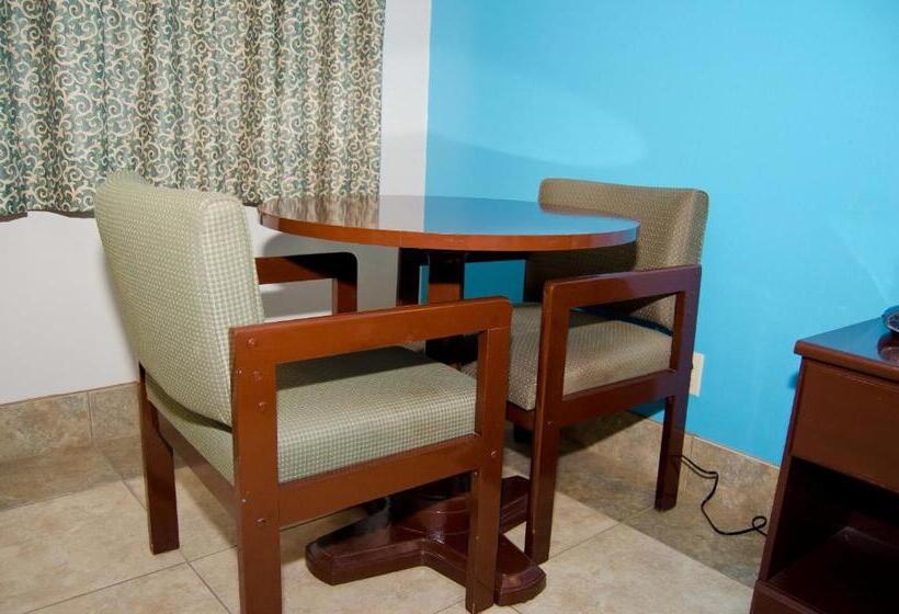 スタンダードルーム, Texas Inn And Suites City Center At University Dr