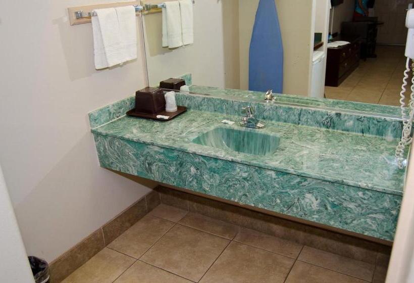 スタンダードルーム, Texas Inn And Suites City Center At University Dr