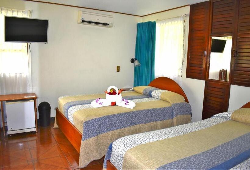 غرفه قياسيه سريرين مزدوجين, Arenal Country Inn