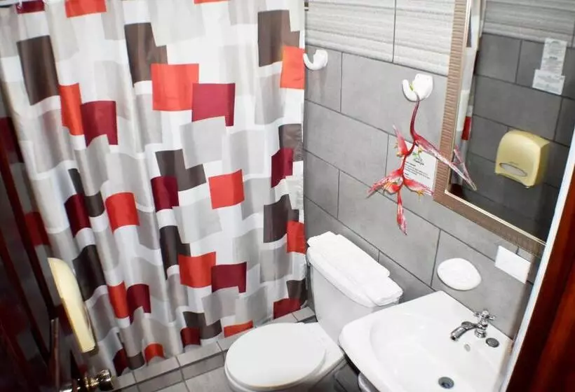 اتاق استاندارد با 2 تخت دوبل, Arenal Country Inn