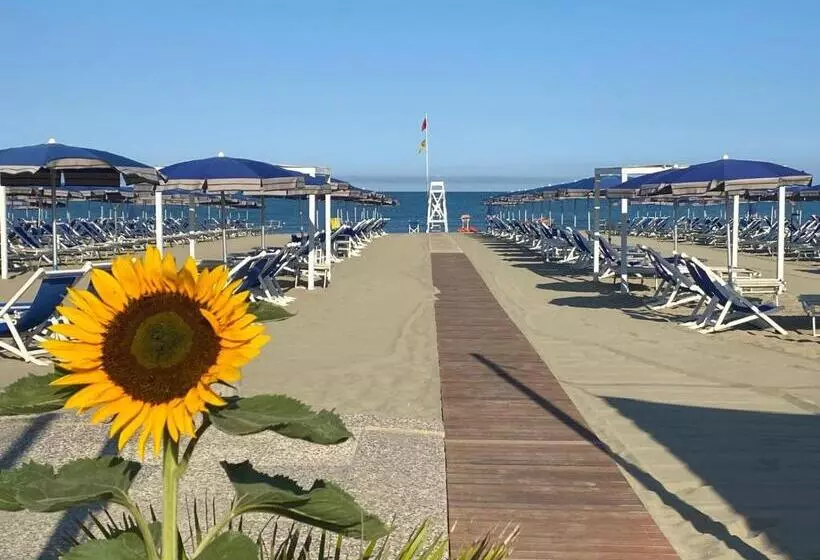 １ベッドルームアパートメント, Cosmopolitan Golf & Beach Resort