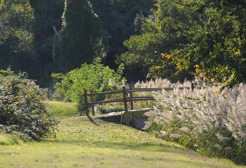 带2个卧室的公寓, Cosmopolitan Golf & Beach Resort