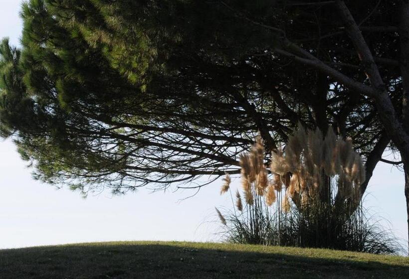 带2个卧室的公寓, Cosmopolitan Golf & Beach Resort