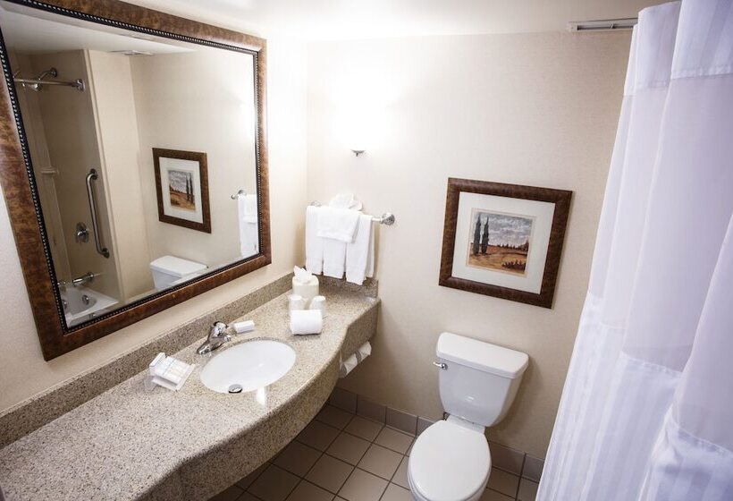 Номер Стандарт, Hilton Garden Inn Gettysburg