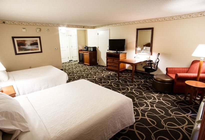 غرفة قياسية لذوى الاحتياجات الخاصة, Hilton Garden Inn Gettysburg
