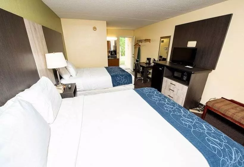 ２ダブルベッドのスタンダードルーム, River Place Inn