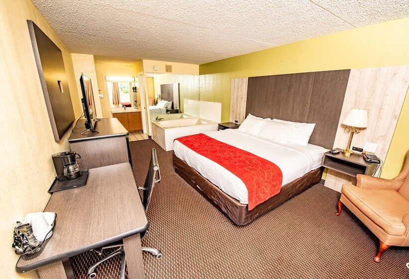 اتاق استاندارد با تخت بزرگ, River Place Inn