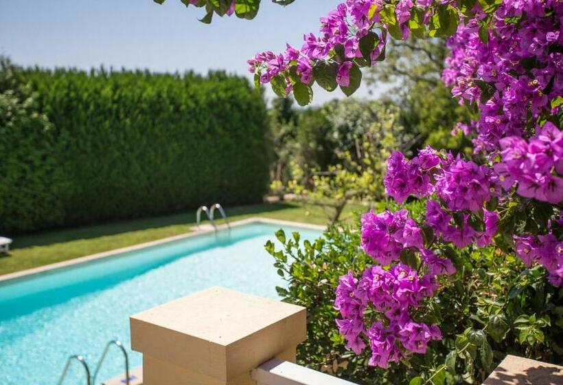 キングサイズベッドのスタンダードルーム, Glicínia Boutique