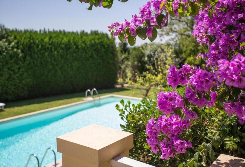 غرفة قياسية مطلّة علي حمام السباحة, Glicínia Boutique