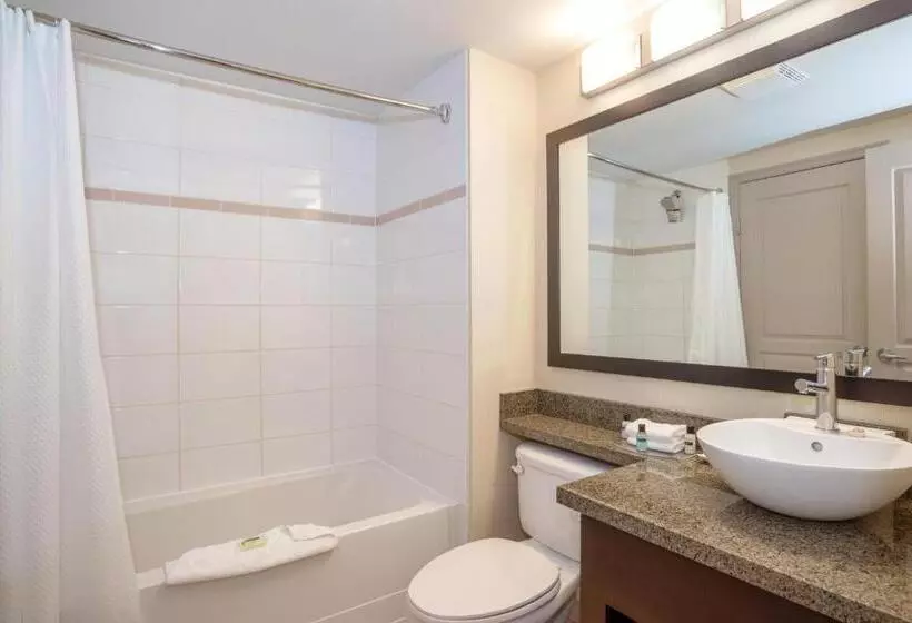 سوئیت با تخت بزرگ, Sandman Hotel & Suites Winnipeg Airport