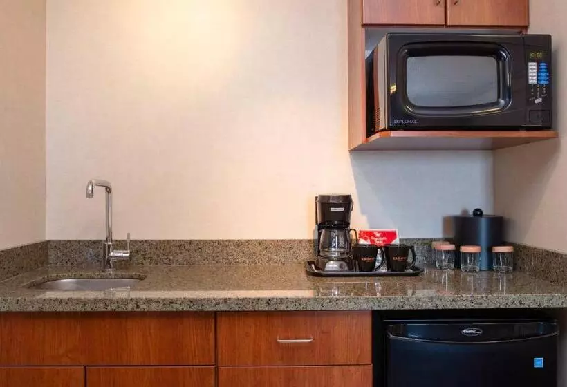 سوئیت با تخت بزرگ, Sandman Hotel & Suites Winnipeg Airport