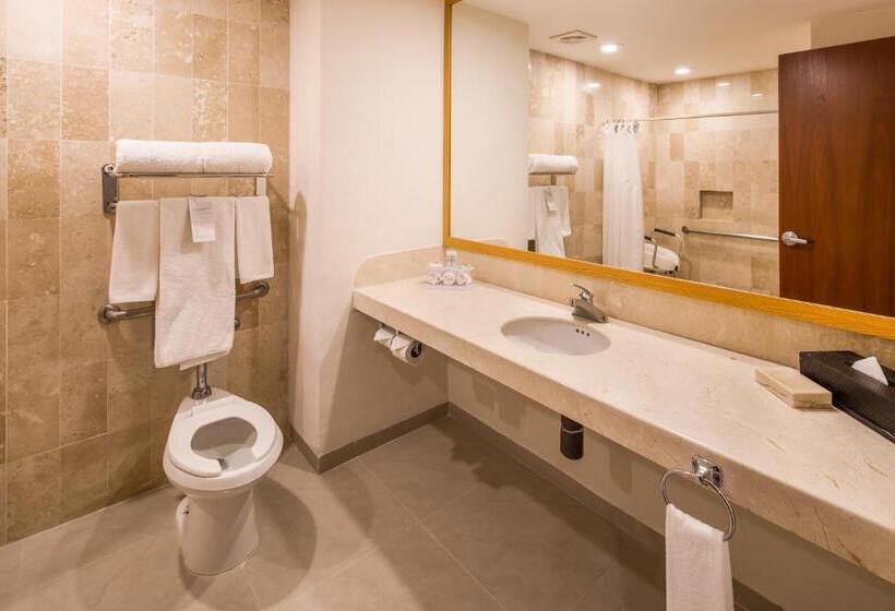 장애인을 위한 킹사이즈 침대 스탠다드 룸, Wyndham Garden Playa Del Carmen