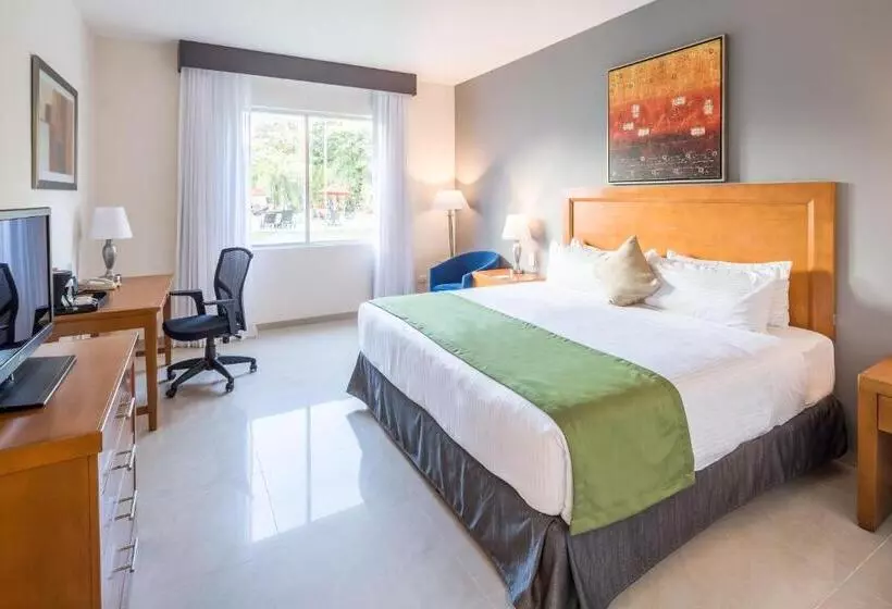 身障者適用キングサイズベッドルーム, Wyndham Garden Playa Del Carmen