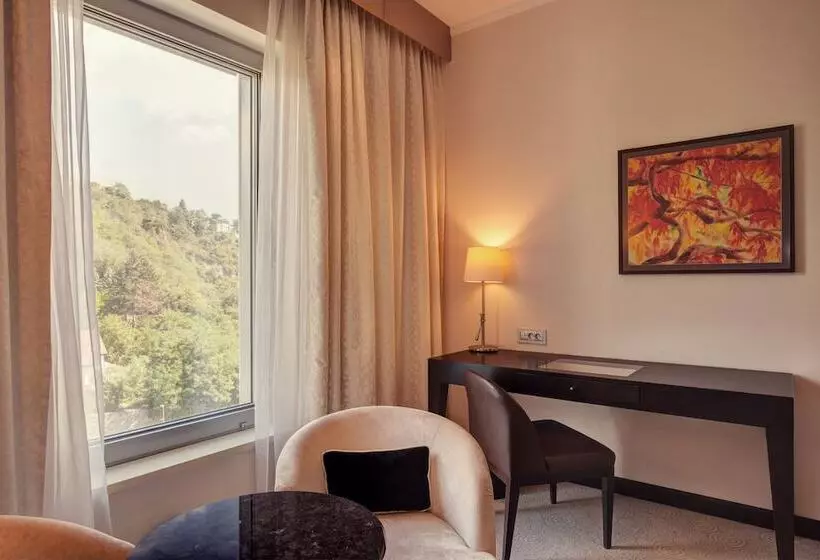 اتاق استاندارد با چشم‌انداز, Grand Hotel River Park, A Luxury Collection Hotel, Bratislava