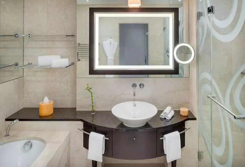اتاق استاندارد با تخت بزرگ, Grand Hotel River Park, A Luxury Collection Hotel, Bratislava