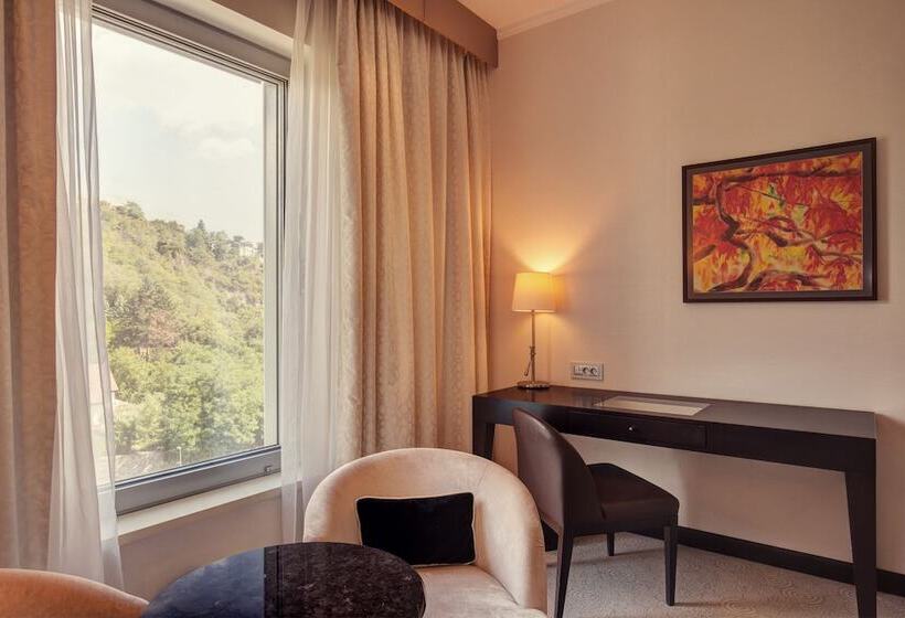 اتاق استاندارد با تخت بزرگ, Grand Hotel River Park, A Luxury Collection Hotel, Bratislava