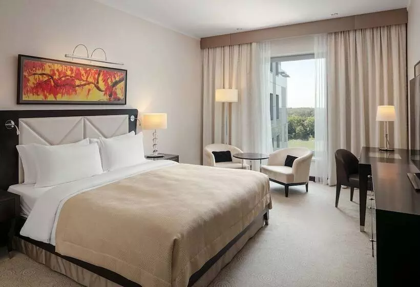 اتاق استاندارد با تخت بزرگ, Grand Hotel River Park, A Luxury Collection Hotel, Bratislava