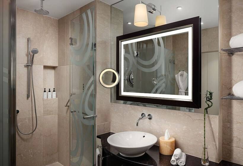 اتاق اجرایی, Grand Hotel River Park, A Luxury Collection Hotel, Bratislava