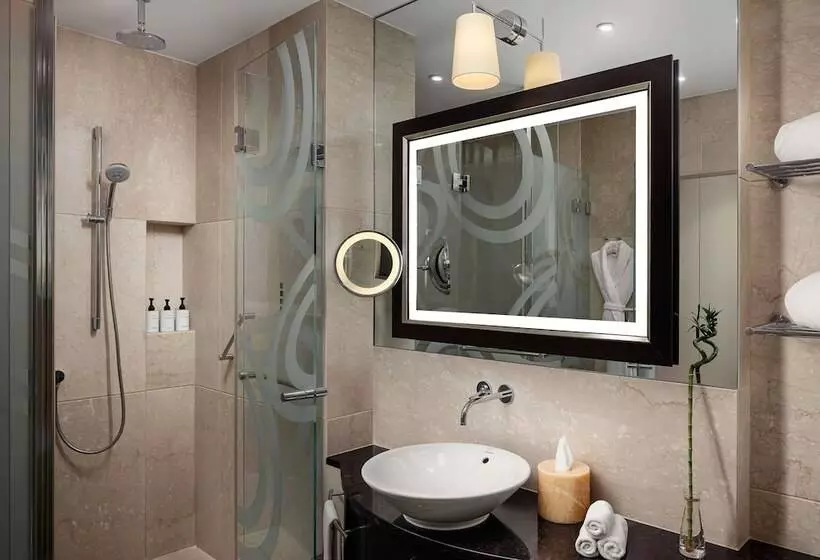 اتاق اجرایی با تخت بزرگ, Grand Hotel River Park, A Luxury Collection Hotel, Bratislava