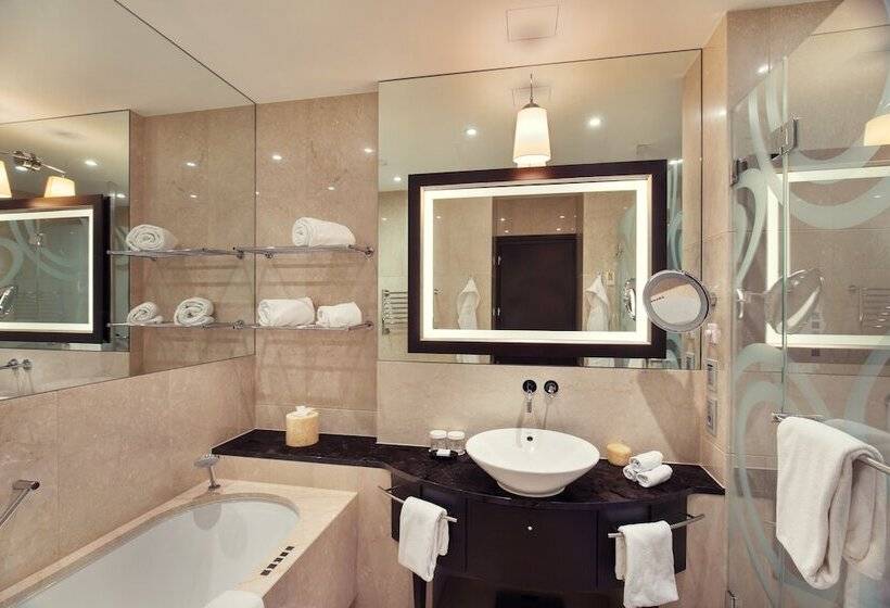اتاق اجرایی با تخت بزرگ, Grand Hotel River Park, A Luxury Collection Hotel, Bratislava