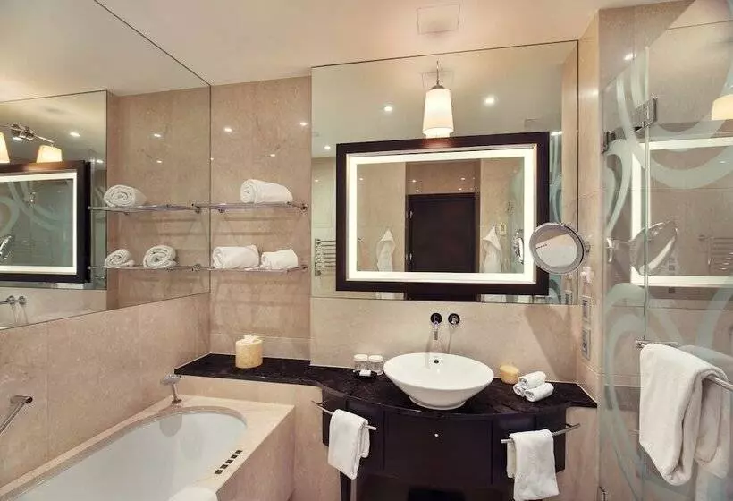 اتاق اجرایی با تخت بزرگ, Grand Hotel River Park, A Luxury Collection Hotel, Bratislava