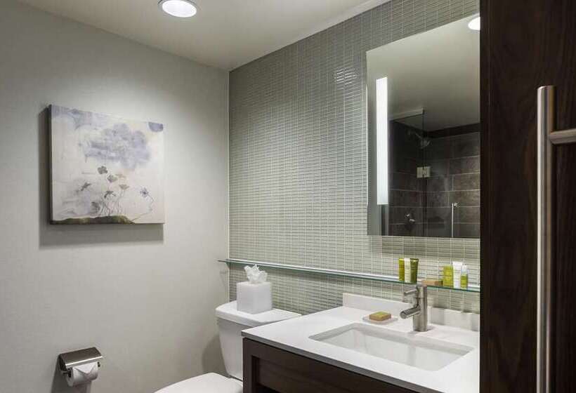 اتاق استاندارد با تخت بزرگ, Hilton Dublin Kilmainham